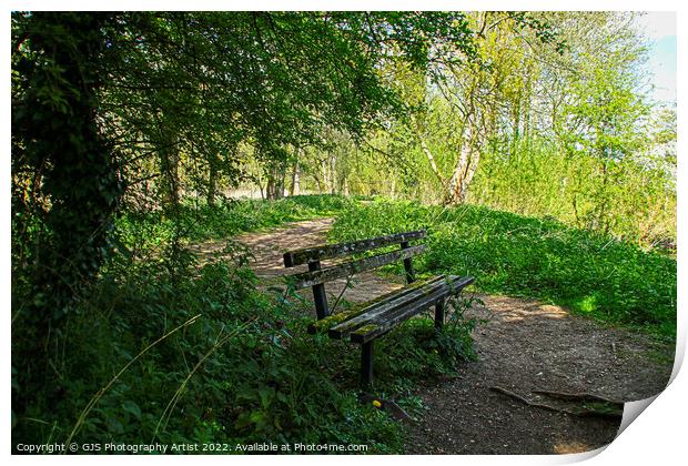 A Bench at Hoe Rough Print by GJS Photography Artist