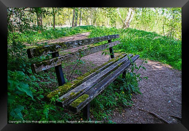 Weather Beaten Bench Framed Print by GJS Photography Artist