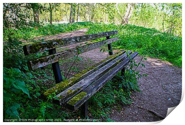 Weather Beaten Bench Print by GJS Photography Artist