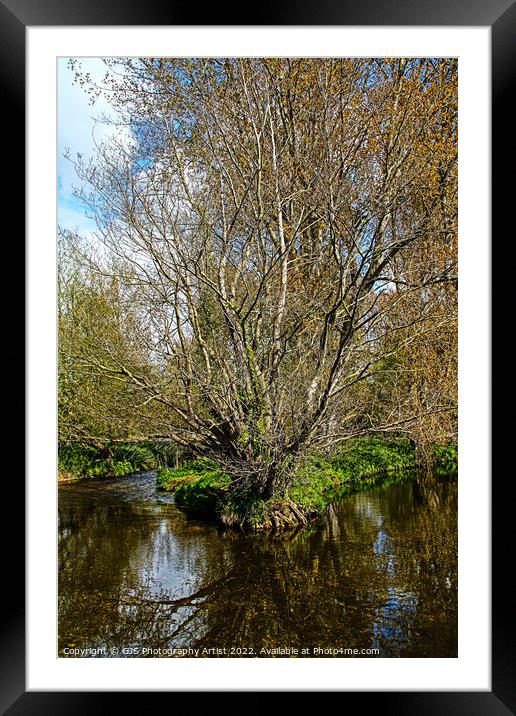 Tree Corner Framed Mounted Print by GJS Photography Artist