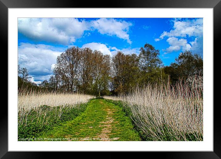 White Lines Framed Mounted Print by GJS Photography Artist