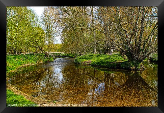 Tree Shaddows in the River Framed Print by GJS Photography Artist