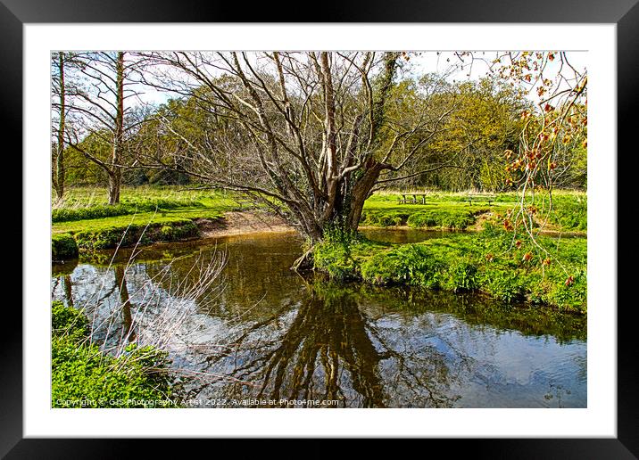 At Waters Edge Framed Mounted Print by GJS Photography Artist