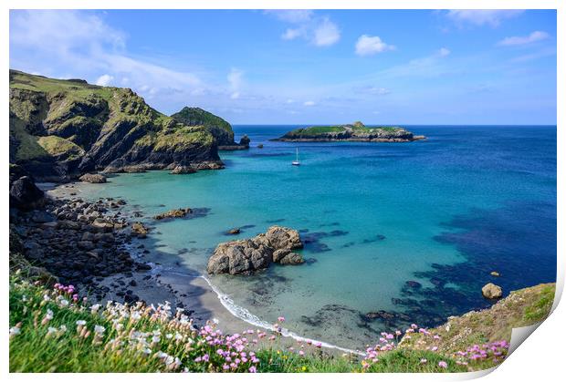 View over Mullion Cove to Mullion Island, Cornwall Print by Tracey Turner