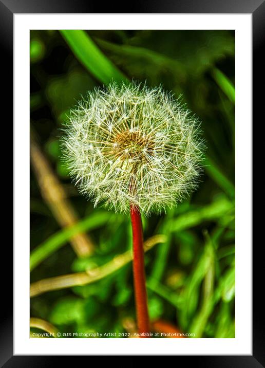 Seeded and Ready  Framed Mounted Print by GJS Photography Artist