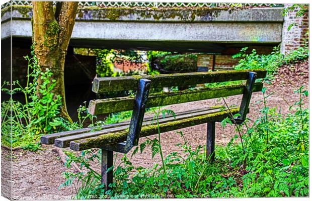 Behind the Bench Canvas Print by GJS Photography Artist