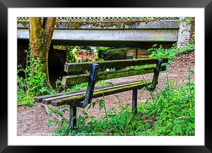 Behind the Bench Framed Mounted Print by GJS Photography Artist