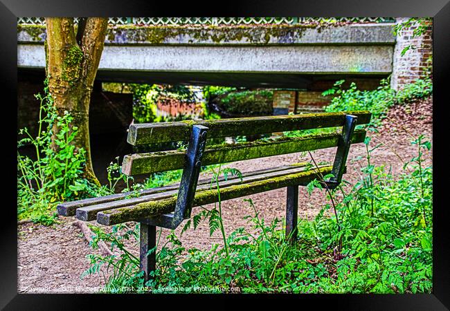Behind the Bench Framed Print by GJS Photography Artist