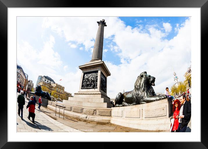 Trafalgar Square showing Nelson's Column, Lions and fountains, in Charing Cross, London Framed Mounted Print by Rose Sicily