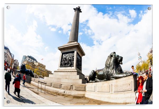 Trafalgar Square showing Nelson's Column, Lions and fountains, in Charing Cross, London Acrylic by Rose Sicily