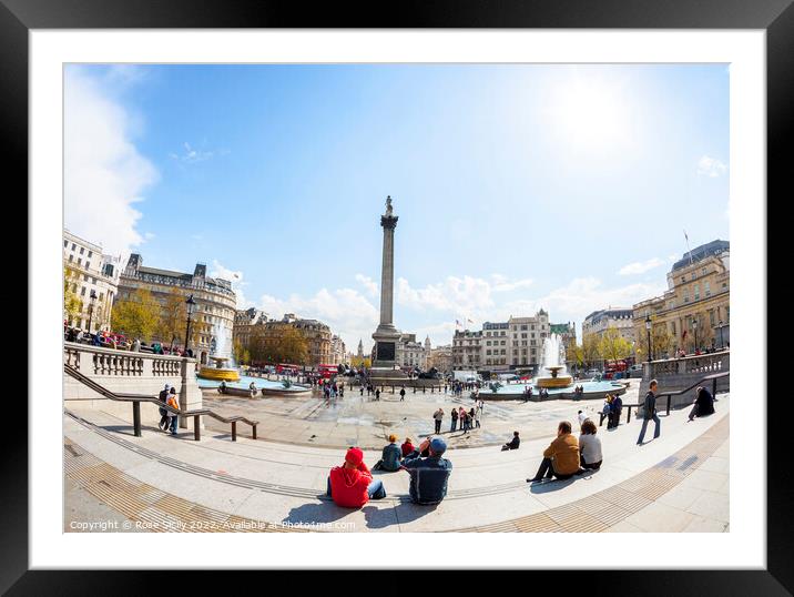 Trafalgar Square showing Nelson's Column, Lions and fountains, in Charing Cross, London Framed Mounted Print by Rose Sicily
