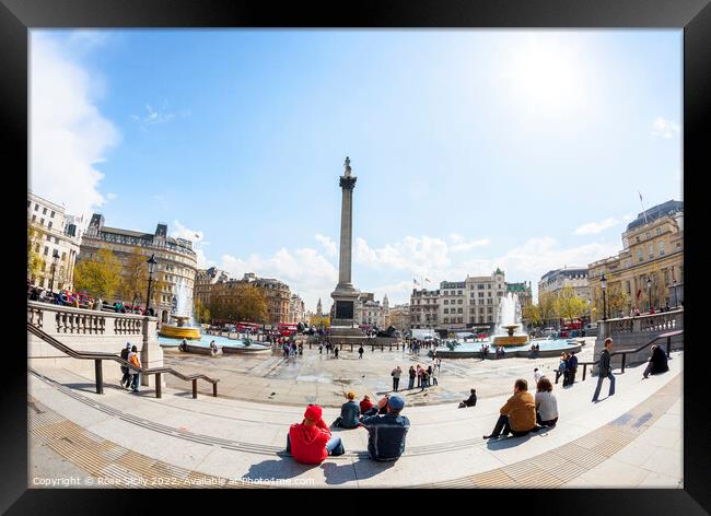 Trafalgar Square showing Nelson's Column, Lions and fountains, in Charing Cross, London Framed Print by Rose Sicily