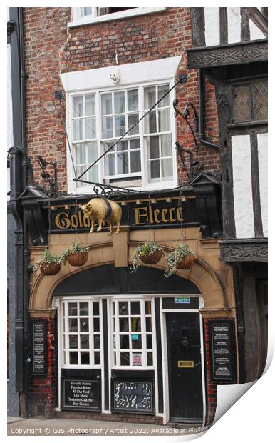Golden Fleece York Print by GJS Photography Artist
