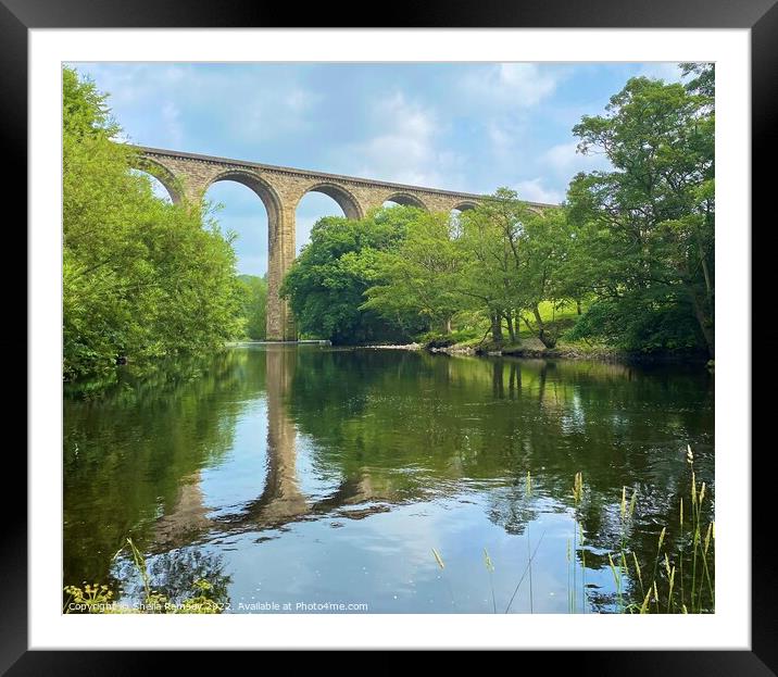 Viaduct over River Dee Framed Mounted Print by Sheila Ramsey