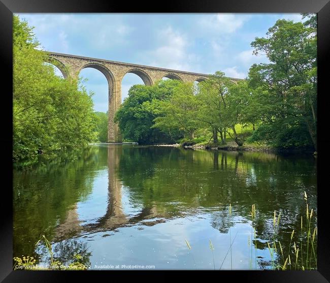 Viaduct over River Dee Framed Print by Sheila Ramsey