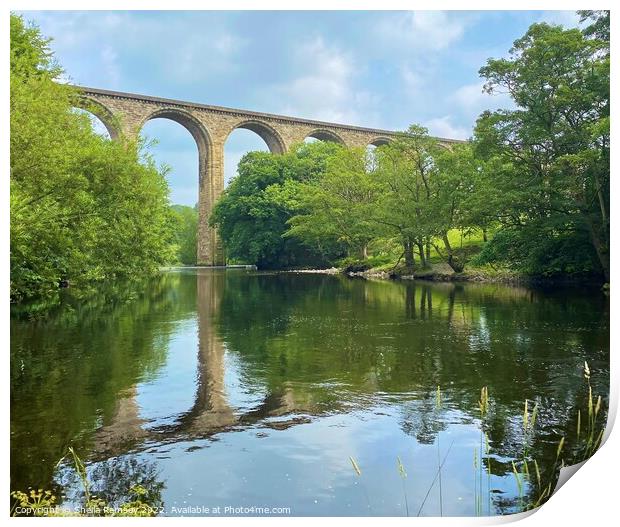 Viaduct over River Dee Print by Sheila Ramsey