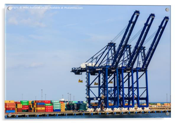 Port of Felixstowe Cranes and Containers Acrylic by Pearl Bucknall