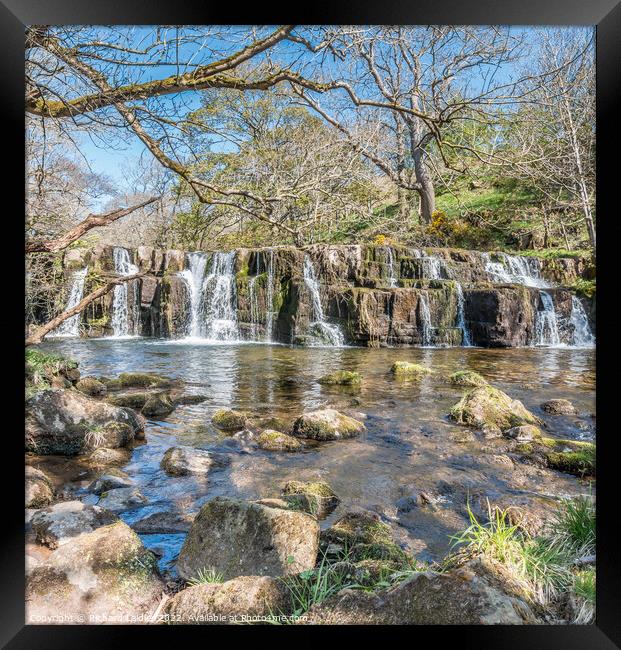 Orgate Force Waterfall in Spring Sunshine (2) Framed Print by Richard Laidler
