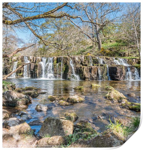 Orgate Force Waterfall in Spring Sunshine (2) Print by Richard Laidler