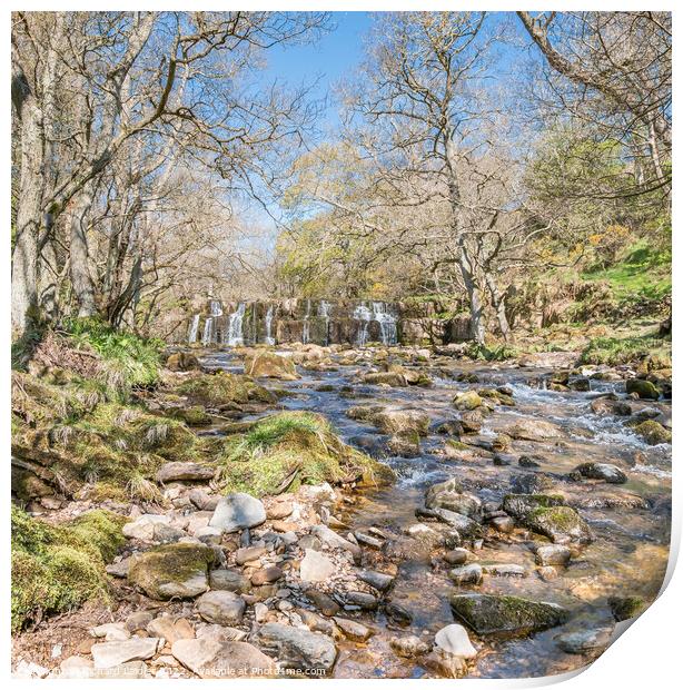 Orgate Force Waterfall in Spring Sunshine (3) Print by Richard Laidler