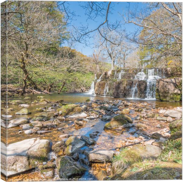 Orgate Force Waterfall in Spring Sunshine (4) Canvas Print by Richard Laidler