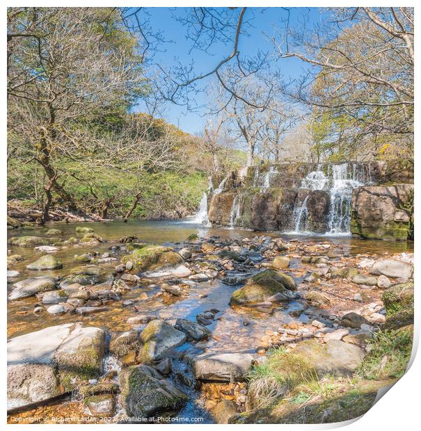 Orgate Force Waterfall in Spring Sunshine (4) Print by Richard Laidler