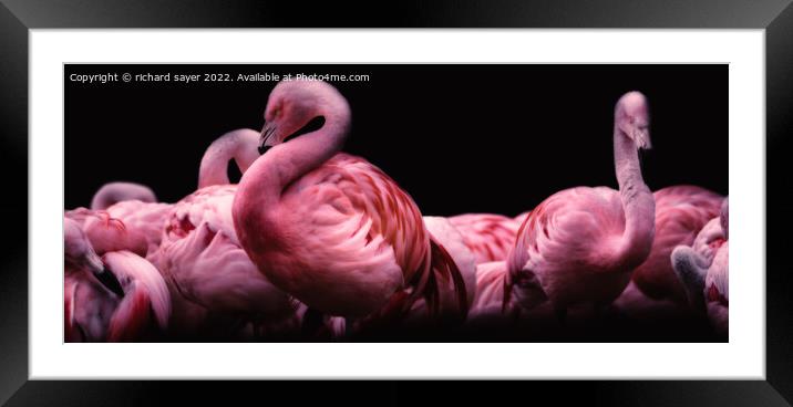 Fuchsia Fantasy Framed Mounted Print by richard sayer