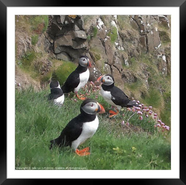 STAFFA PUFFINS Framed Mounted Print by dale rys (LP)