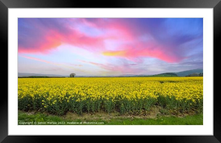 Vibrant Golden Sea Framed Mounted Print by Simon Marlow