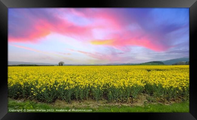 Vibrant Golden Sea Framed Print by Simon Marlow