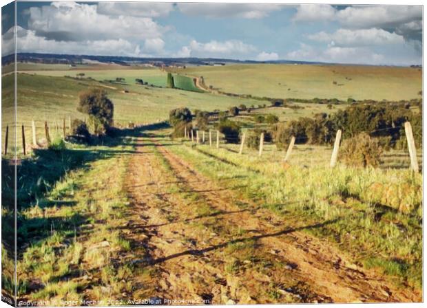 Winding Farm Track in Extemadura Canvas Print by Roger Mechan