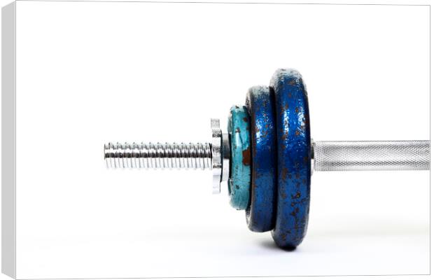 Dumbbell Weights Canvas Print by Drew Gardner