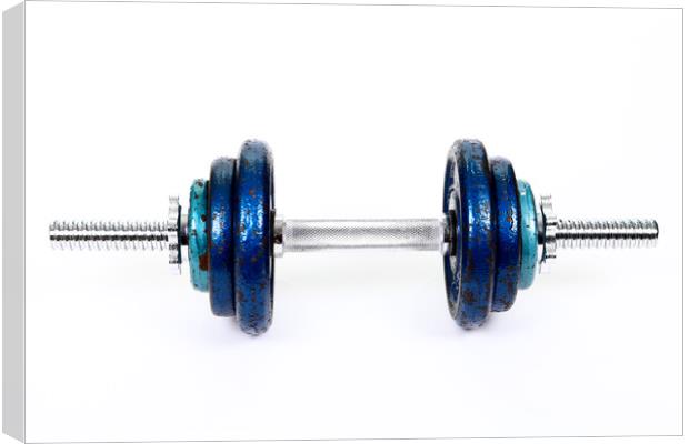Dumbbell Weights Canvas Print by Drew Gardner