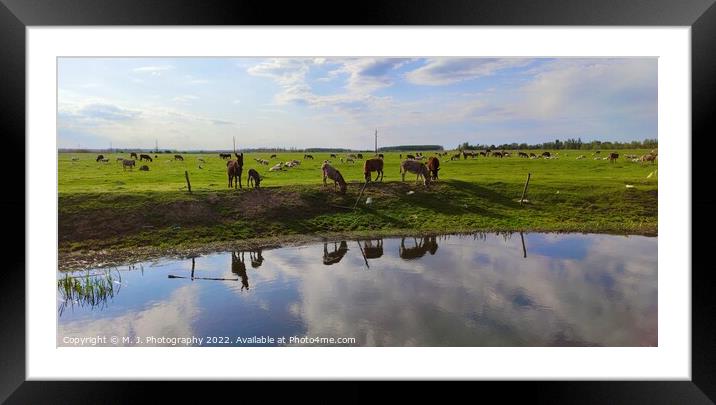 Outdoor paradise path with animal ranch Framed Mounted Print by M. J. Photography