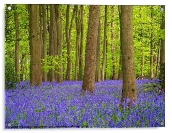 Bluebells Woodland Acrylic by Elizabeth Debenham