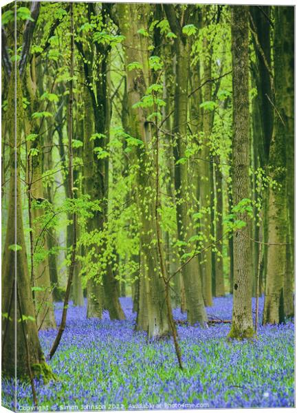 bluebells Canvas Print by Simon Johnson