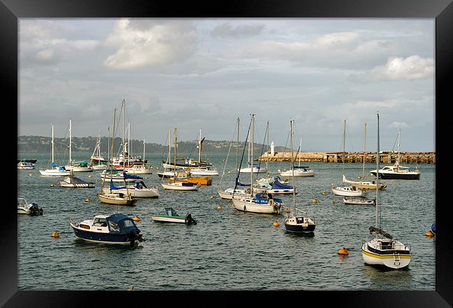 Brixham Outer Harbour Framed Print by graham young