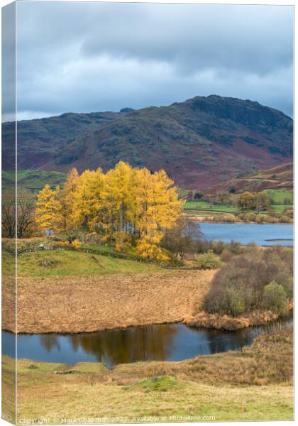 Autumn colour, Little Langdale, Cumbria Canvas Print by Photimageon UK