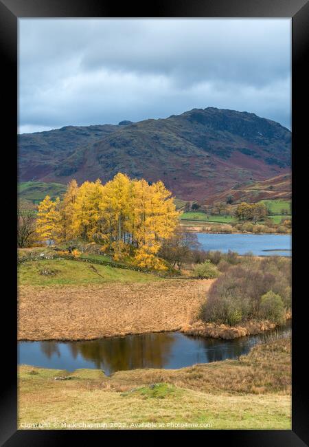 Autumn colour, Little Langdale, Cumbria Framed Print by Photimageon UK