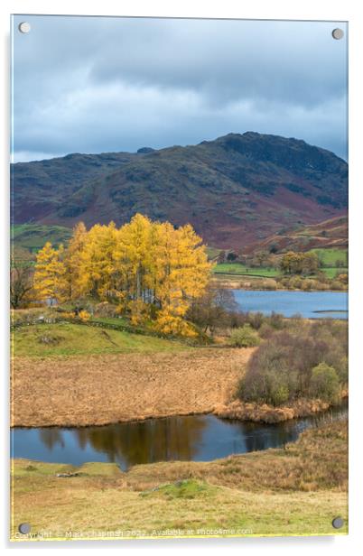 Autumn colour, Little Langdale, Cumbria Acrylic by Photimageon UK