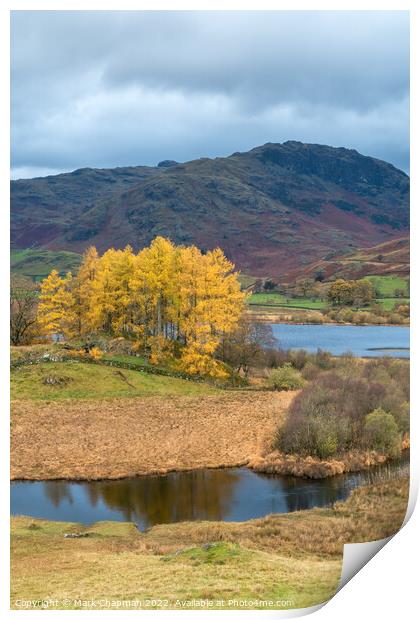 Autumn colour, Little Langdale, Cumbria Print by Photimageon UK