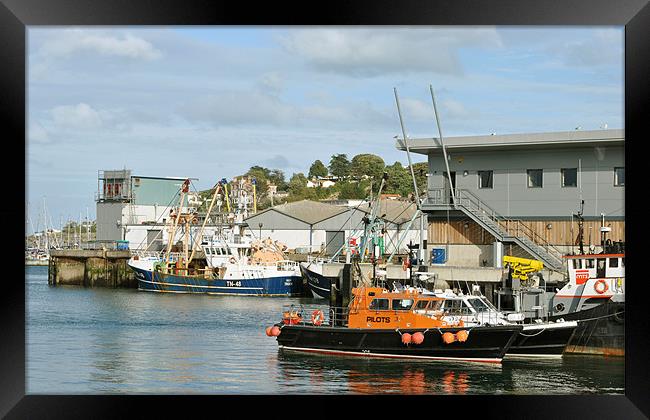 The Brixham Pilot Framed Print by graham young