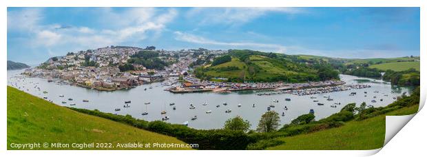 Panoramic view of Salcombe town and harbour Print by Milton Cogheil