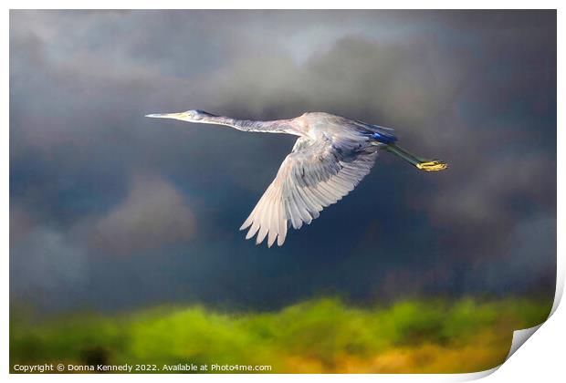 Flight Before the Storm Print by Donna Kennedy