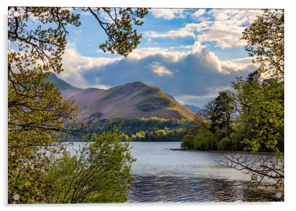 Catbells over Derwentwater Acrylic by Roger Green
