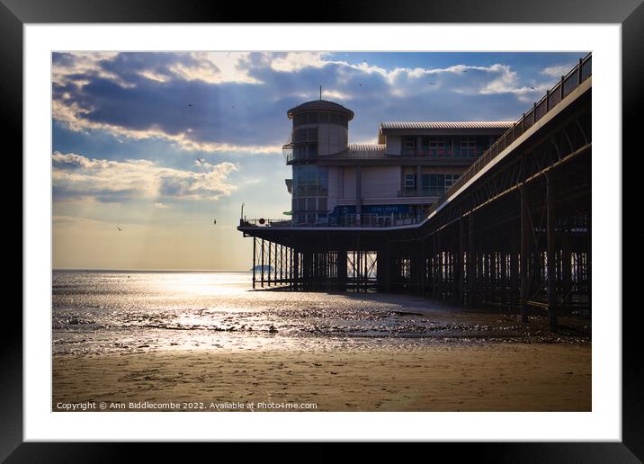 Weston-Super-Mare  under the pier Framed Mounted Print by Ann Biddlecombe