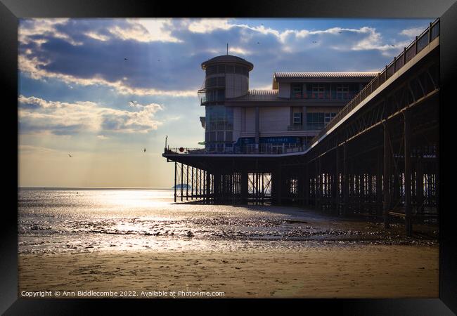 Weston-Super-Mare  under the pier Framed Print by Ann Biddlecombe