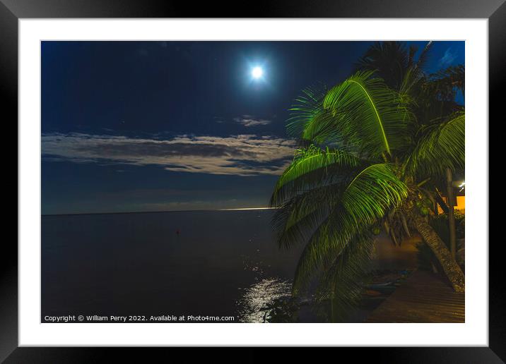Moon Night Reflection Blue Water Moorea Tahiti Framed Mounted Print by William Perry