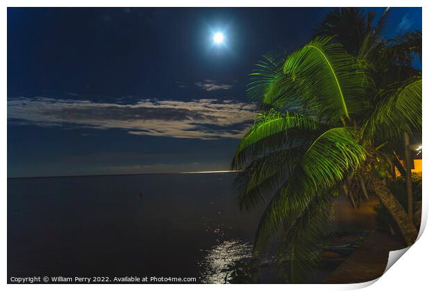 Moon Night Reflection Blue Water Moorea Tahiti Print by William Perry