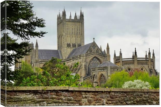 Wells Cathedral Canvas Print by Sheila Ramsey